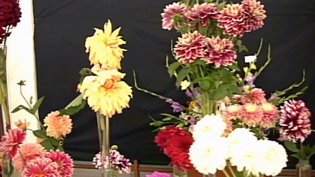 Exhibition of gladioli and dahlias Myslovice Poland 2013 výstava mečíkov,gladiol смотреть онлайн