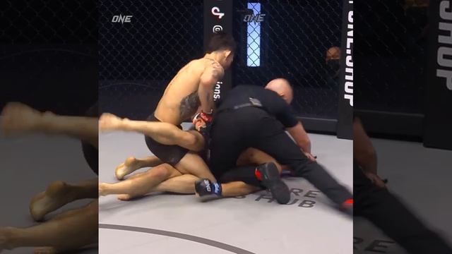 Борец не удержал ногу и нарвался на удар! кубок [НОКАУТ] смотреть онлайн