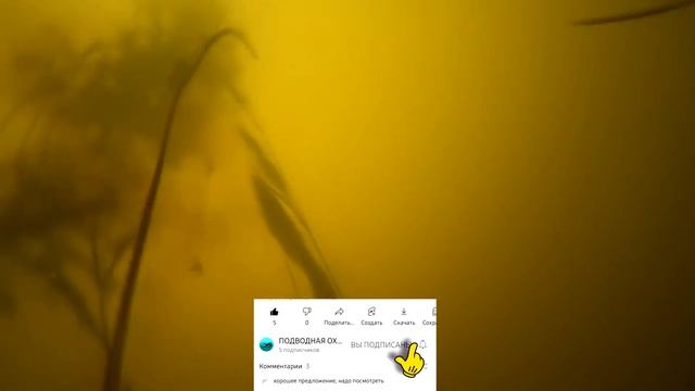 Подводная охота. ГДЕ ИСКАТЬ ЩУКУ в реке и озере начинающим подвохам. Ловля рыбы, рыбалка под водой смотреть онлайн