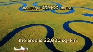 Самые большие болота в мире. ТОП-10.