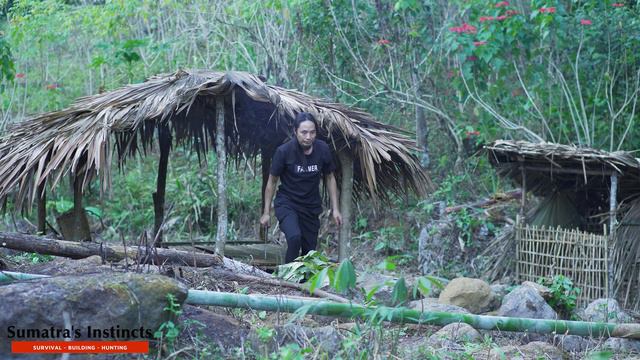 Sumatra is Back, Traps Work Very Well, Welcome New Members | Sumatra's Instincts смотреть онлайн