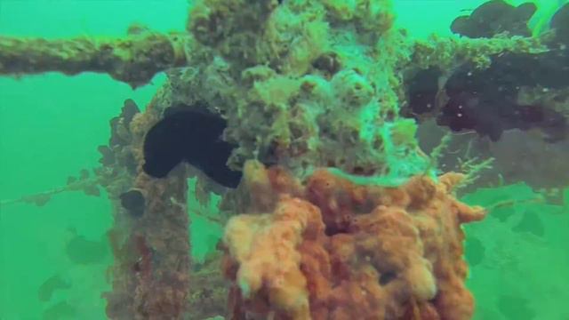 Tawasul Artificial reef project смотреть онлайн