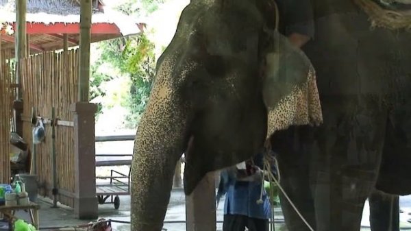 Bangkok area - Floating Market, The Rose Garden and Asiatique. Day 2