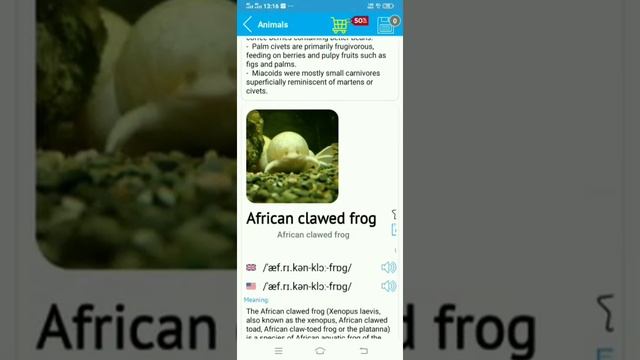 Best Learning apps for kids #oxfordemglish #Englishtools #Llearning app смотреть онлайн