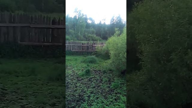 притравка 1 гром 28 05 16 смотреть онлайн