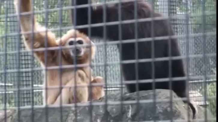 Как заткнуть свою девушку смотреть онлайн