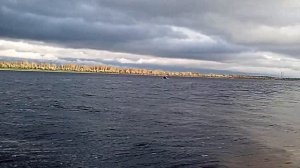 Ока 4 под Ямахой 40veos!