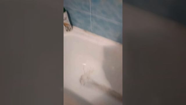 Потёк водонагреватель. Новатек. смотреть онлайн
