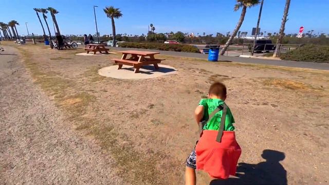 Кормим белочек на берегу океана | Гусиные Истории смотреть онлайн