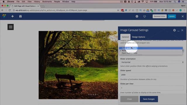 Visual Composer Slider (or Carousel) Is Easily Customizable - Visual Composer Tutorials Part 6 смотреть онлайн