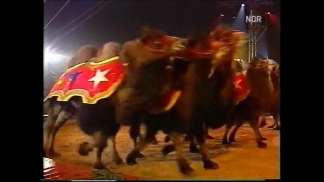 26° Circus Festival de Monte Carlo смотреть онлайн