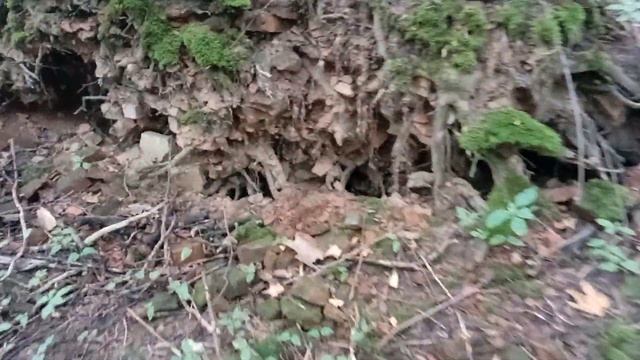 То,что вам не покажут в туристических маршрутах Калининграда. смотреть онлайн