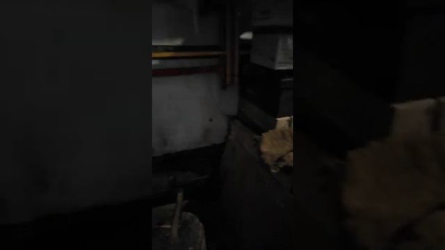 Твердотоп компактное размещение смотреть онлайн