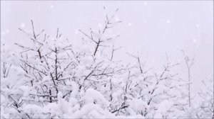 Арвид #  гр.. Русский стиль#  # снег во  дворе # Вера и Геннадий Ковтун...