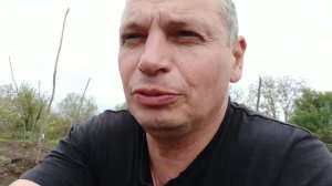 Формировка виноградного куста. Обломка, нормировка куста побегами