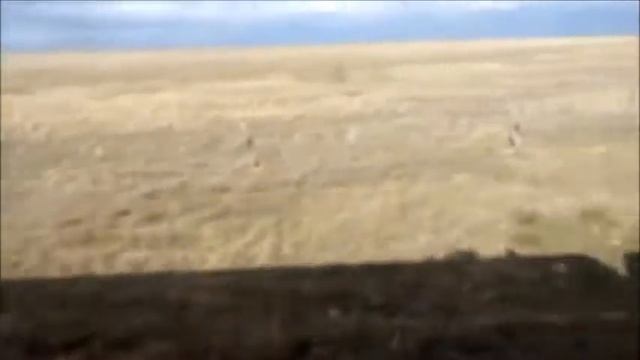 Степи на границе Волгоградской и Астраханской областей из окна поезда Волгоград Душанбе