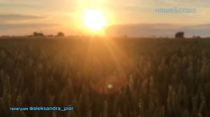 Украду тебя я