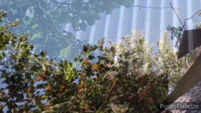 Славянск.16.07.23 И снова ни о чём.? Что готовили на мангале. Первая кукуруза смотреть онлайн