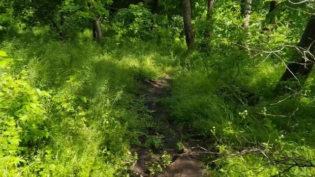 Жизнь усыпляет. Найди способ проснуться смотреть онлайн