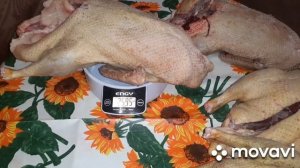 ЗАБОЙ УТОК ПОРОДЫ -АГИДЕЛЬ И   МУЛАРДЫ.?КАКОЕ МЯСО ВКУСНЕЕ?