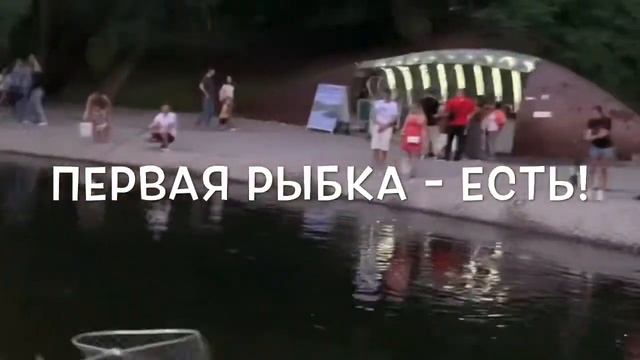 Лучший способ ловить Форель - на Живца. смотреть онлайн