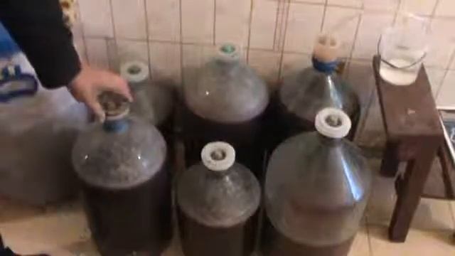 Изготовление виноградного вина в домашних условиях от Михаила Левадного смотреть онлайн