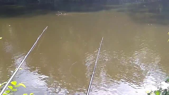 Рыбалка в Запорожье в заливах Вырва. смотреть онлайн