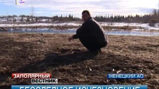 Спасатели НАО ищут потерявшегося в тундре мужчину