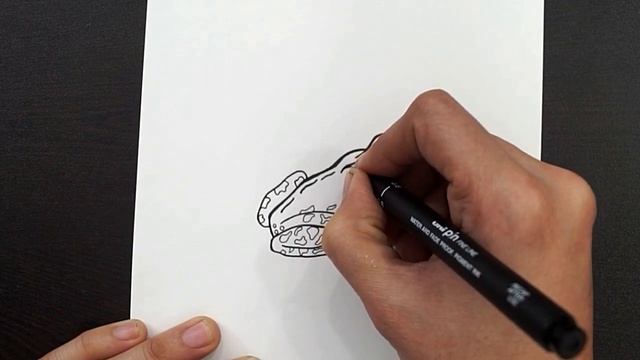 Diagram Of External Features Of Frog || Labelled Diagram Of Frog || Class 11 || Biology смотреть онлайн