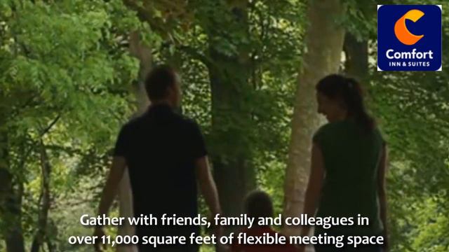 Comfort Inn & Suites - Pittsburgh, Pennsylvania, US смотреть онлайн