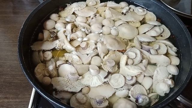 Вкусные рецепты с грибами