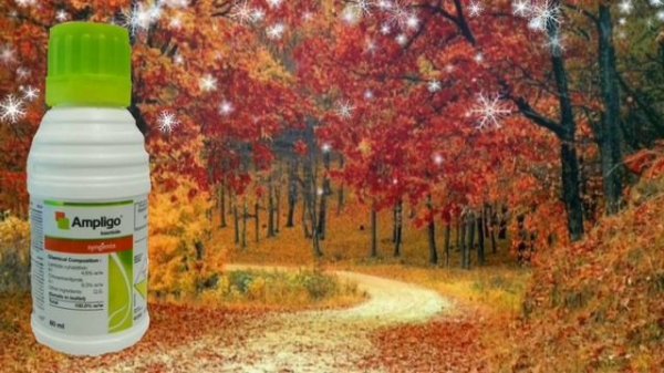 AMPLIGO INSECTICIDE ||SYNGENTA ||