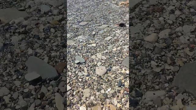 Шум моря 17.08.23. смотреть онлайн