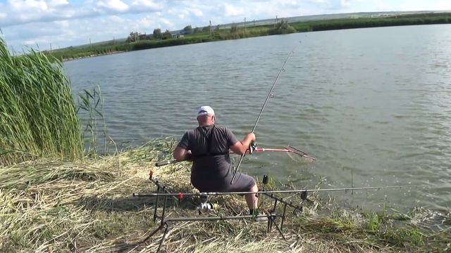 крупный сазан и карп. поймал сазана на 7,5 кг смотреть онлайн