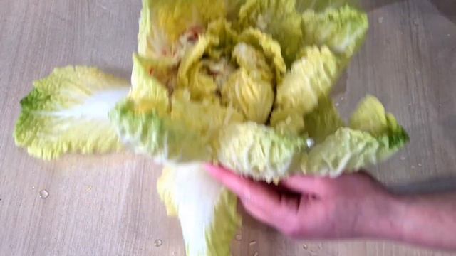 Бизнес-Советы и Инструкции