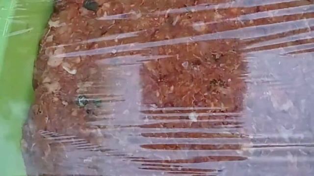 ЛЮЛЯ КЕБАБ НА МАНГАЛЕ, ТАКОГО НЕ БЫЛО! СУПЕР РЕЦЕПТ! смотреть онлайн