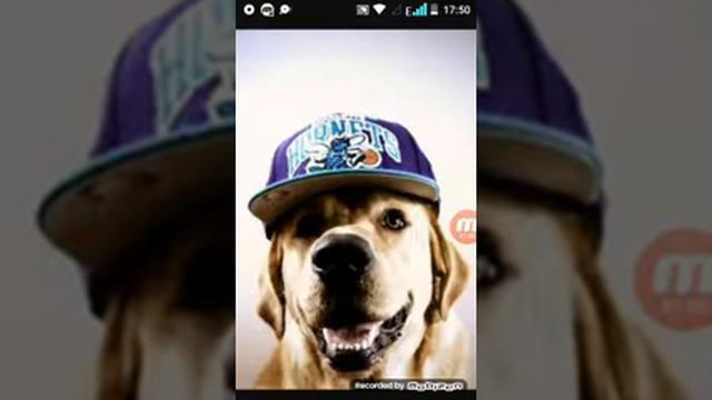 Очень крутая музыка ссылка в описание 👇 смотреть онлайн