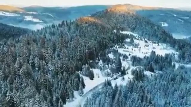 Бесподобная ПЕСНЯ! Я снова жду ♫♫♫ Наталья Щербинина смотреть онлайн