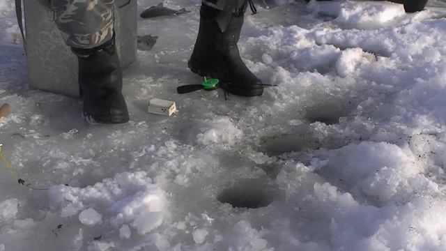 Зимняя Рыбалка 18.01.2017 (ловля карася) смотреть онлайн