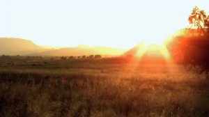 Eyes Open Level 2 Video 6 2 Time for an adventure