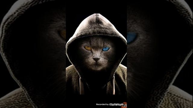 Моя царица смотреть онлайн