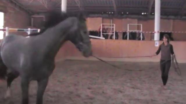 Коперник-15 13.10.16 смотреть онлайн