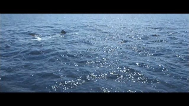 KON TIKI - Trailer HD смотреть онлайн