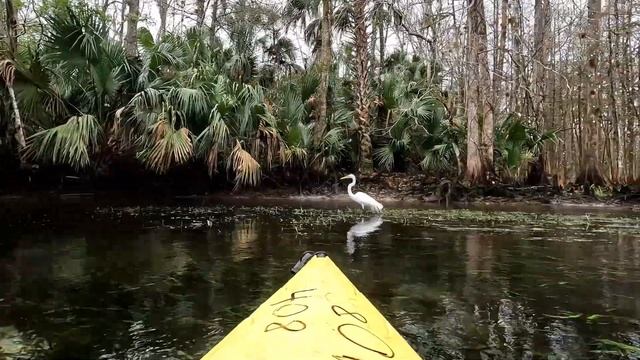 Florida kayaking, manatees and Mountain Biking смотреть онлайн