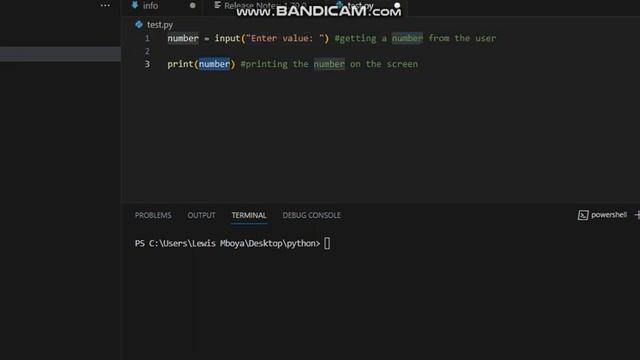 Python - Getting user input смотреть онлайн