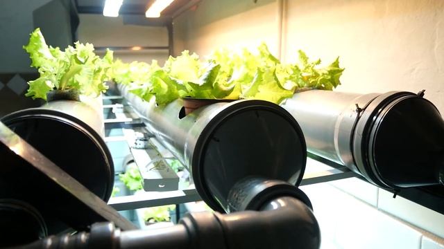 Какой насос для гидропоники выбрать | Циркуляционный насос смотреть онлайн