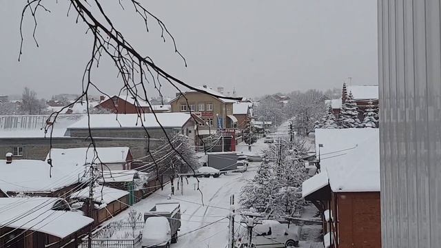 9 февраля 2020 г.г. Владикавказ смотреть онлайн