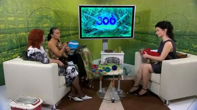 Как модно одеть собаку смотреть онлайн