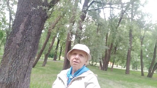 Липы Березы Ветла Дубы прекрасные поляны в Саду Будущего смотреть онлайн