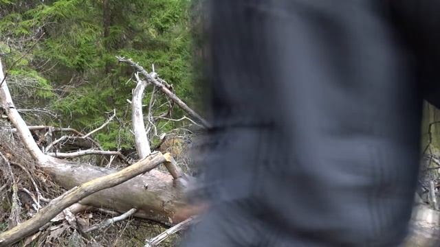 Samurai Ichiban GC-330-LH